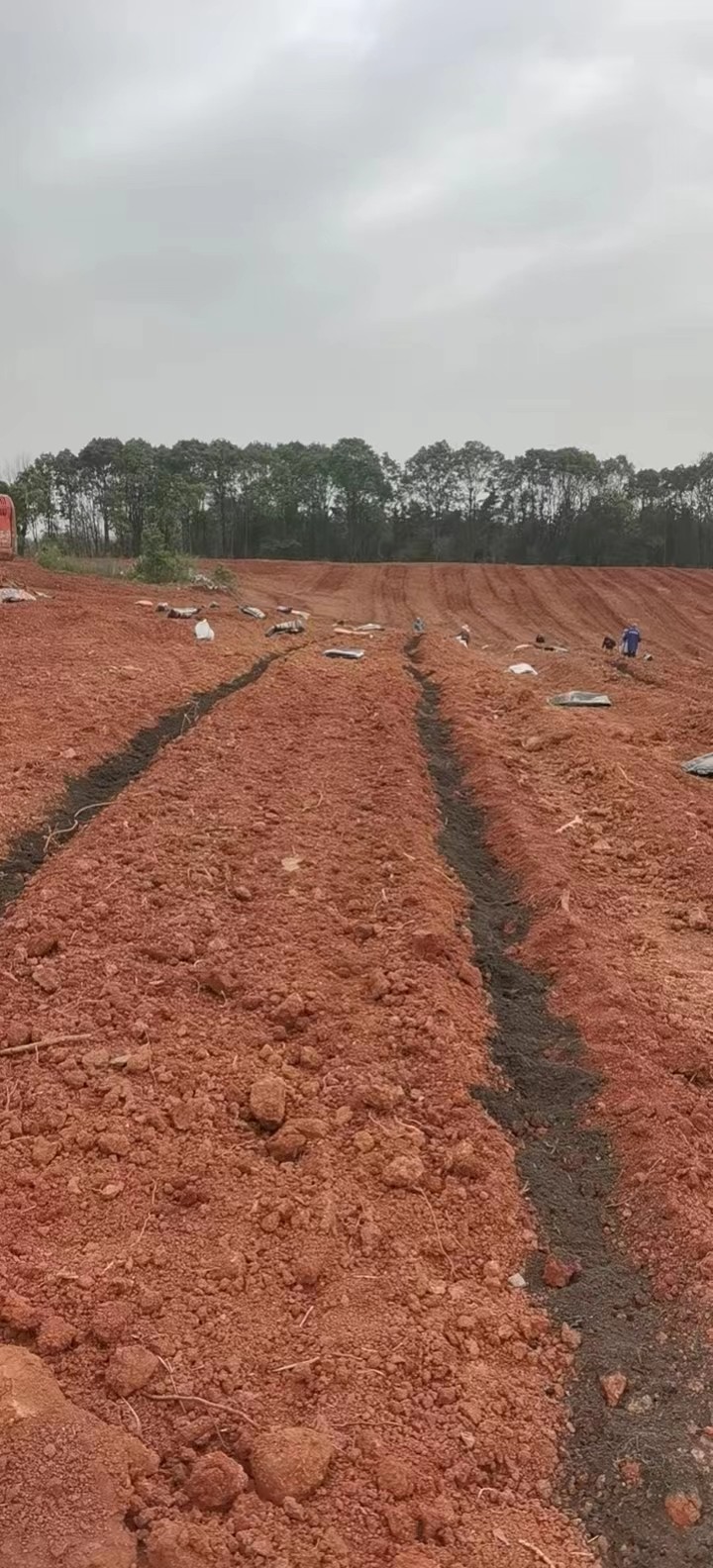 嘉鱼蔬菜基地
