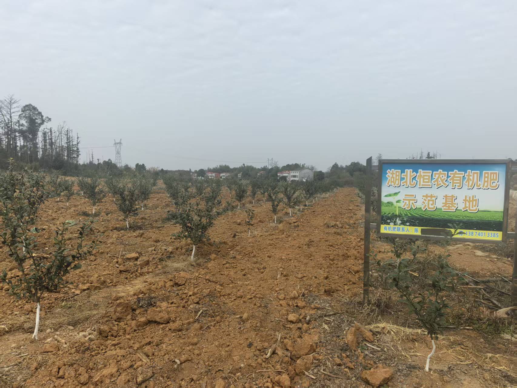 示范基地